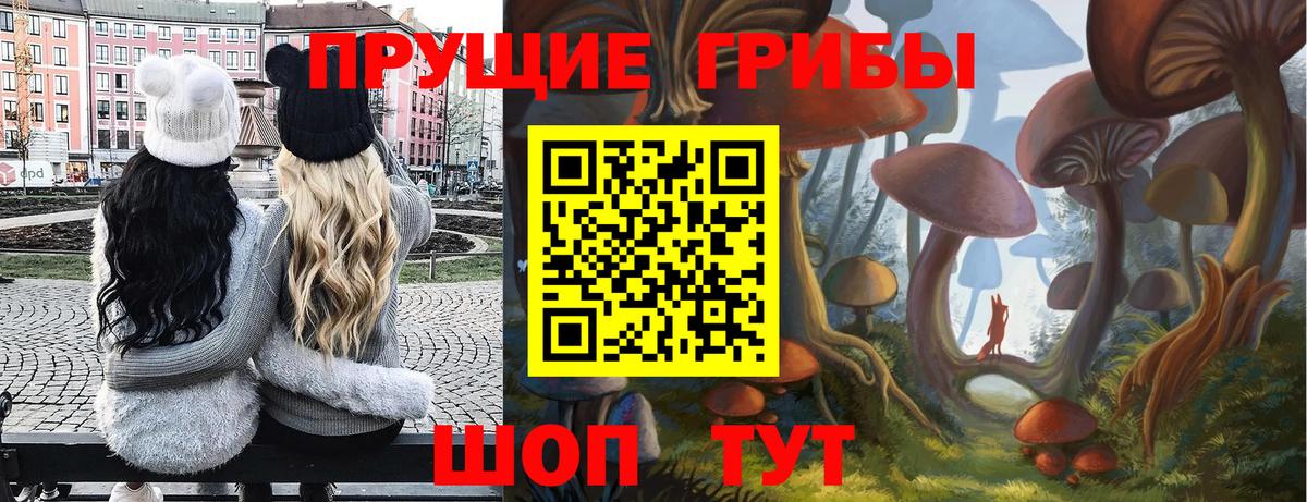 Горячий Ключ  Псилоцибиновые грибы мухоморы  купить   Вход с VPN  Галлюциногенные грибы Cubensis 